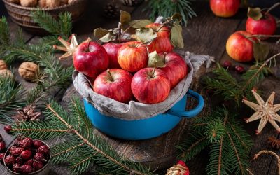 Was macht der Apfel auf dem Weihnachtsbaum?