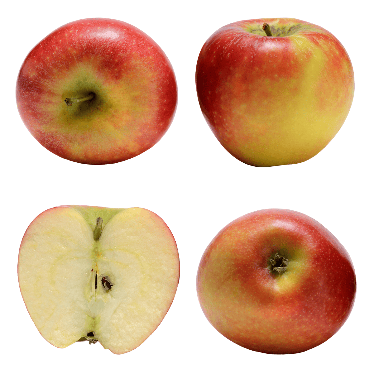 Auflaufform mit Apfeltommerl. Mit einem Holzheber wird gerade ein Stück herausgenommen.